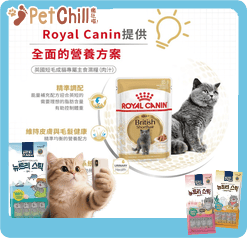 Royal Canin Royal Canin 法國皇家 貓濕糧 英國短毛成貓專屬主食濕糧 85g 85g 側面圖