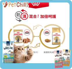 Royal Canin Royal Canin 法國皇家 貓濕糧 英國短毛成貓專屬主食濕糧 85g 85g 包裝圖
