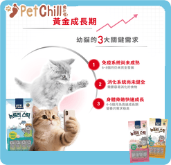 Royal Canin 法國皇家 Kitten 貓濕糧 幼貓營養主食濕糧 (啫喱) 85g (圖片4)