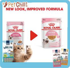 Royal Canin 法國皇家 Kitten 貓濕糧 幼貓營養主食濕糧 (啫喱) 85g (圖片6)