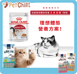 Royal Canin Wet Cat Food - Instinctive Cat (Jelly) 85g (圖片3)