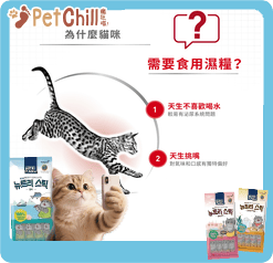 Royal Canin Wet Cat Food - Instinctive Cat (Jelly) 85g (圖片4)