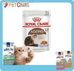 Royal Canin Royal Canin 法國皇家 貓濕糧 老年貓12+營養主食濕糧  85g 85g  正面圖