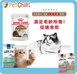 Royal Canin Royal Canin 法國皇家 貓濕糧 老年貓12+營養主食濕糧  85g 85g  正面圖