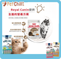 Royal Canin Royal Canin 法國皇家 貓濕糧 老年貓12+營養主食濕糧  85g 85g  側面圖