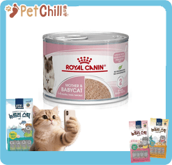 Royal Canin Royal Canin 法國皇家 貓濕糧 離乳貓及母貓營養主食罐頭 BB02 195g 195g  正面圖