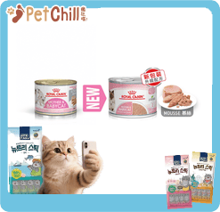 Royal Canin Royal Canin 法國皇家 貓濕糧 離乳貓及母貓營養主食罐頭 BB02 195g 195g  正面圖