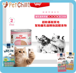 Royal Canin Royal Canin 法國皇家 貓濕糧 離乳貓及母貓營養主食罐頭 BB02 195g 195g  背面圖