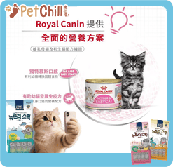 Royal Canin Royal Canin 法國皇家 貓濕糧 離乳貓及母貓營養主食罐頭 BB02 195g 195g  背面圖