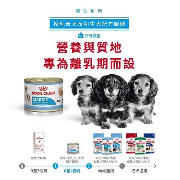 Royal Canin Royal Canin 法國皇家 狗濕糧 健康營養系列 初生犬及母犬營養主食罐頭 初生BB慕絲 195g 195g  正面圖
