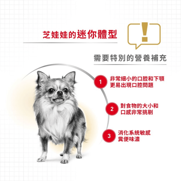 Royal Canin 法國皇家 狗濕糧 芝娃娃成犬專屬主食濕糧 (肉塊) 85g (圖片4)