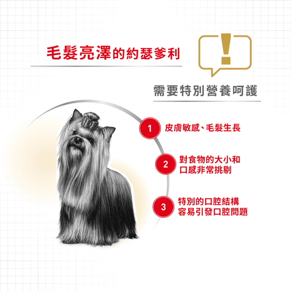 Royal Canin 法國皇家 狗濕糧 約瑟爹利成犬專屬主食濕糧 (肉塊) 85g (圖片4)