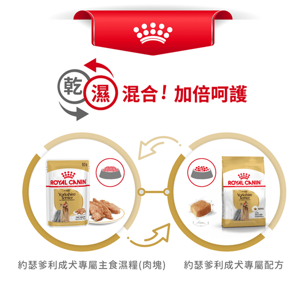 Royal Canin 法國皇家 狗濕糧 約瑟爹利成犬專屬主食濕糧 (肉塊) 85g (圖片7)