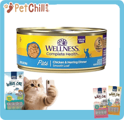 WELLNESS Complete Health Cat Canned Food Pate Grain-Free Recipe with Chicken & Herring 5.5oz 156g (8948) (圖片1)