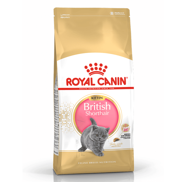 Royal Canin Royal Canin 貓糧 法國皇家貓糧 純種系列 英國短毛幼貓專屬配方 KBSH38 2kg 2kg  正面圖