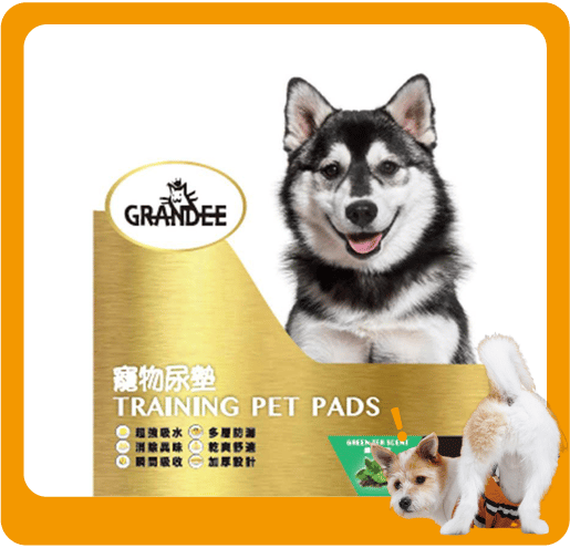 GRANDEE 寵物尿墊 狗尿墊 狗尿片 綠茶味 [90*60 L碼 25枚入] (GD/GT25) (圖片1)