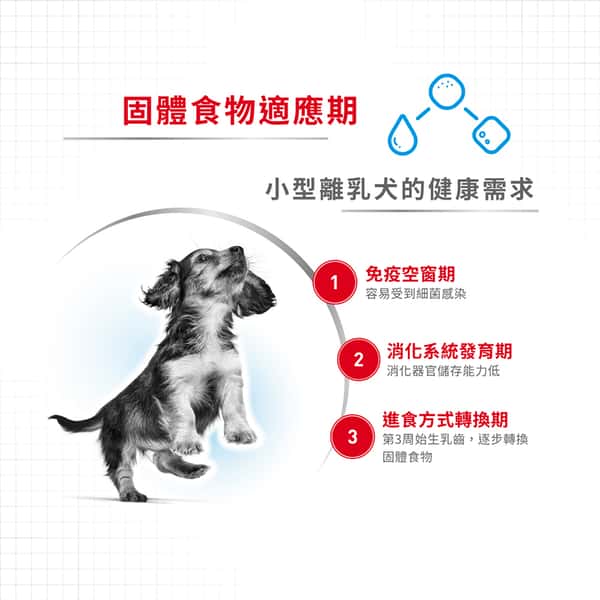 Royal Canin 狗糧 法國皇家狗糧 健康營養系列 小型初生犬及母犬營養配方 小型初生BB糧 MIST 3kg (2990030011) (圖片3)