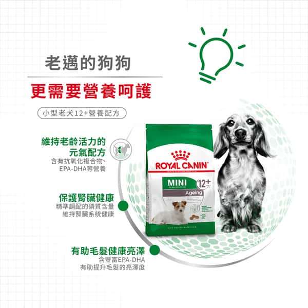 Royal Canin Royal Canin 狗糧 法國皇家狗糧 健康營養系列 小型老犬12+營養配方 小型老犬糧 12+ SPR12 1.5kg 5kg 側面圖