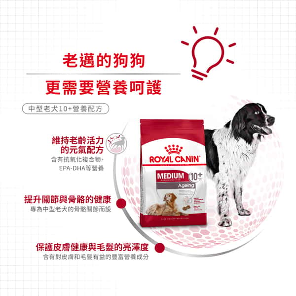 Royal Canin 狗糧 法國皇家狗糧 健康營養系列 中型老犬10+營養配方 中型老犬糧 10+ 3kg (圖片5)