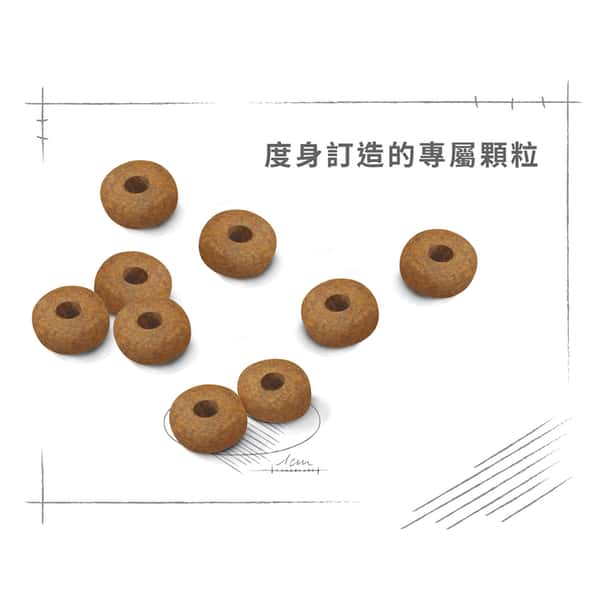 Royal Canin 狗糧 法國皇家狗糧 健康營養系列 中型老犬10+營養配方 中型老犬糧 10+ 3kg (圖片6)