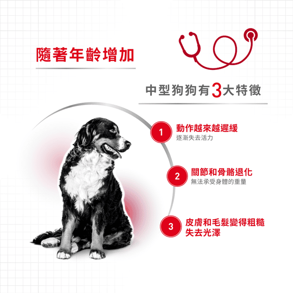 Royal Canin Wet Dog Food - Medium Ageing 7+ Dog (Gravy) 140g (圖片3)