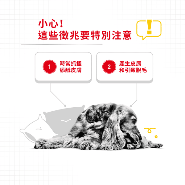 Royal Canin Wet Dog Food Dermacomfort Adult Dog (Loaf) 85g (圖片4)