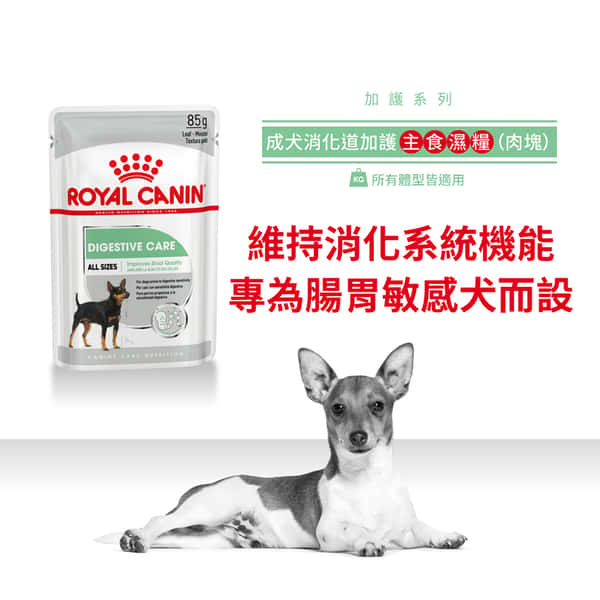 Royal Canin Royal Canin 法國皇家 狗濕糧 成犬消化道加護主食濕糧 85g 85g 正面圖