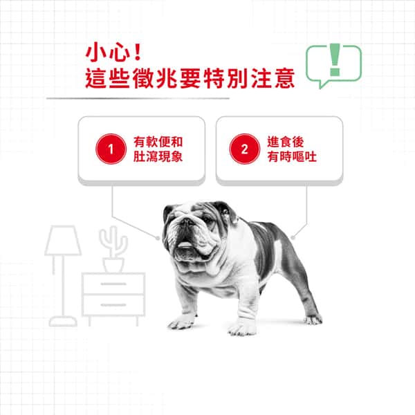 Royal Canin Royal Canin 法國皇家 狗濕糧 成犬消化道加護主食濕糧 85g 85g 背面圖