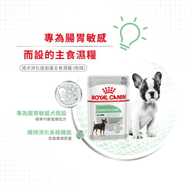 Royal Canin Royal Canin 法國皇家 狗濕糧 成犬消化道加護主食濕糧 85g 85g 側面圖