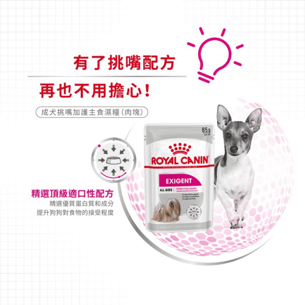 Royal Canin 法國皇家 狗濕糧 成犬挑嘴加護主食濕糧 (肉塊) 85g (圖片5)