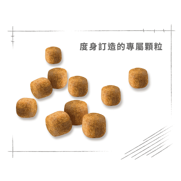 Royal Canin Dry Cat Food - Adult Maine Coon MCO 2kg (2550020010) (圖片4)