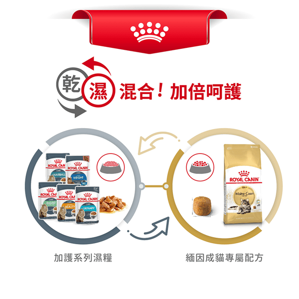 Royal Canin Dry Cat Food - Adult Maine Coon MCO 2kg (2550020010) (圖片6)