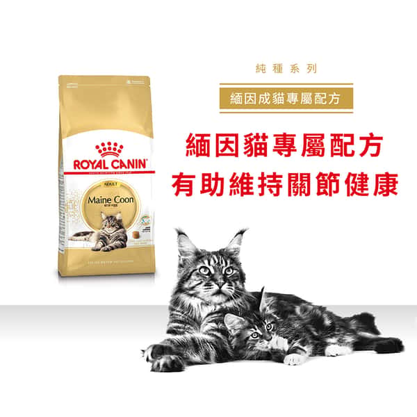 Royal Canin Royal Canin 貓糧 法國皇家貓糧 純種系列 緬因成貓專屬配方 10kg 10kg  正面圖