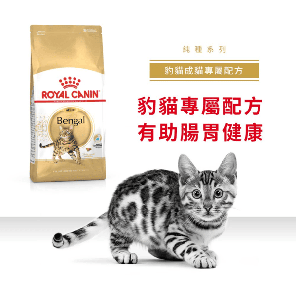 Royal Canin Royal Canin 貓糧 法國皇家貓糧 純種系列 豹貓成貓專屬配方 BEN40 10kg 10kg  正面圖