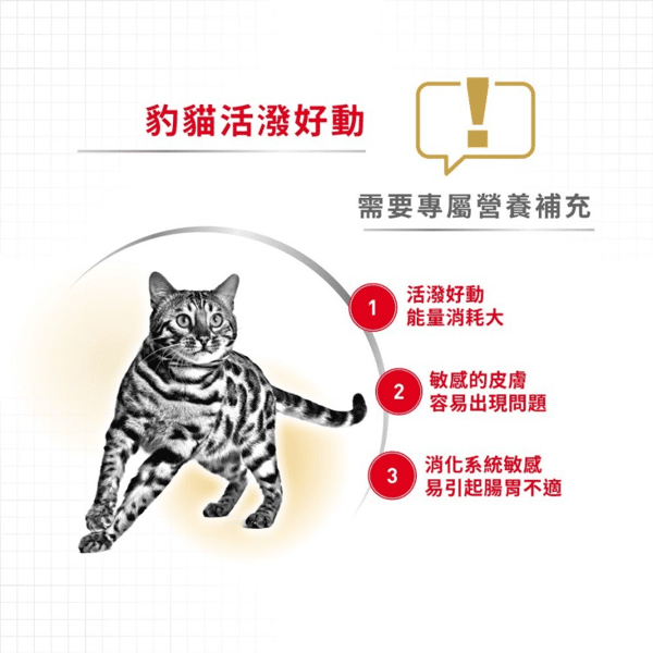 Royal Canin Royal Canin 貓糧 法國皇家貓糧 純種系列 豹貓成貓專屬配方 BEN40 10kg 10kg  背面圖