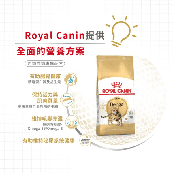 Royal Canin Royal Canin 貓糧 法國皇家貓糧 純種系列 豹貓成貓專屬配方 BEN40 10kg 10kg  側面圖