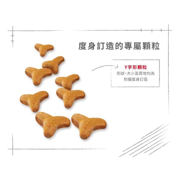 Royal Canin Royal Canin 貓糧 法國皇家貓糧 純種系列 豹貓成貓專屬配方 BEN40 10kg 10kg  特寫圖