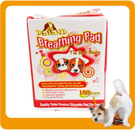 Breathing Breathing Pad 竹碳寵物尿墊 狗尿墊 狗尿片 [33*45 S碼 100PADS]   正面圖