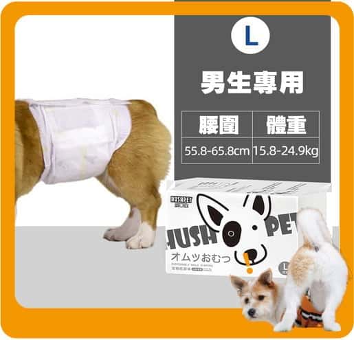 HUSHPET HUSHPET 男生狗狗專用 寵物尿墊狗尿墊狗尿片 紙尿褲紙尿片 黑 [腰圍56-66 L碼 12枚]   正面圖