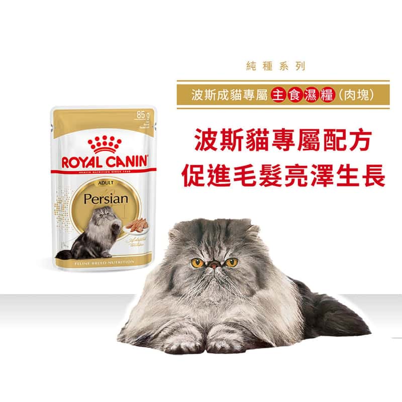 Royal Canin Royal Canin 法國皇家 貓濕糧 波斯成貓專屬主食濕糧  85g 85g  正面圖