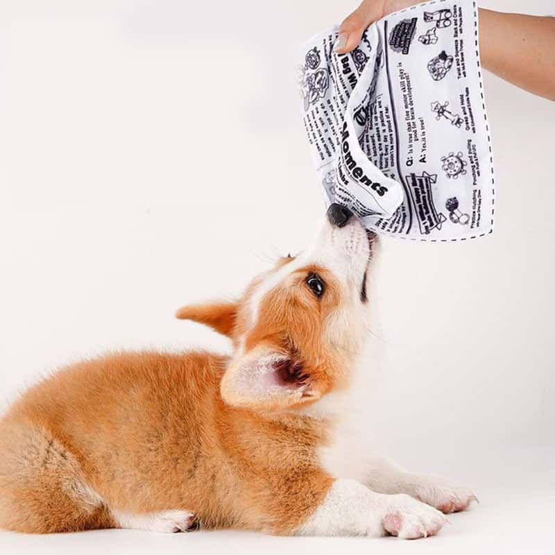 HelloDOG HelloDOG 玩具嚴選 寵物響紙自嗨撕咬發聲玩具 報紙 1件   正面圖
