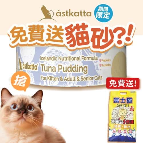 Astkatta Astkatta 冰島罐 貓罐頭 布甸罐 吞拿魚 40g 40g  正面圖
