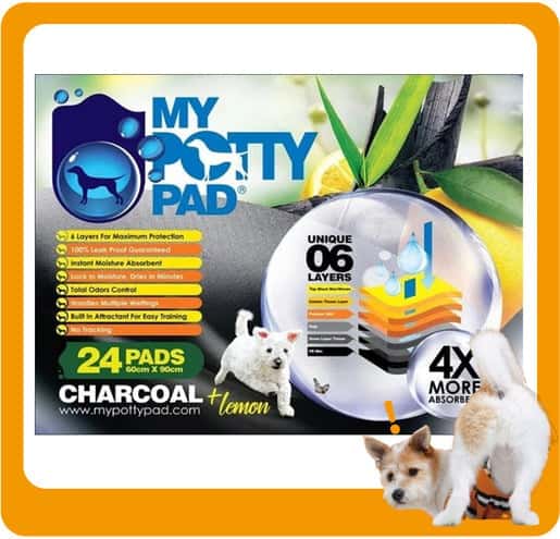 My My Potty Pad 活性炭殿堂吸 寵物尿墊 狗尿墊 狗尿片 檸檬味 [60x90 L碼 24PADS]   正面圖