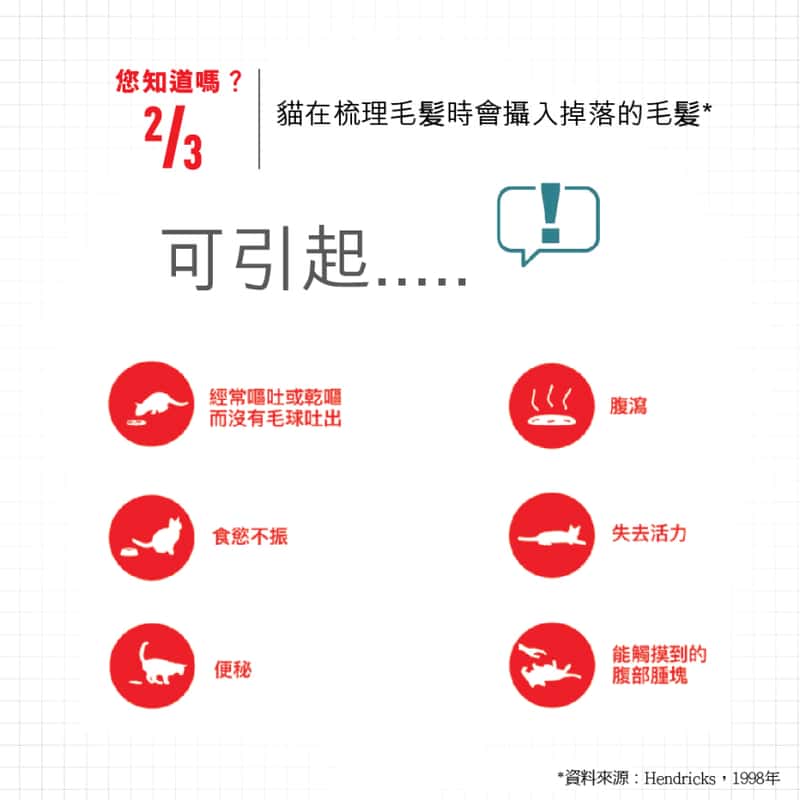 Royal Canin Royal Canin 法國皇家 貓濕糧 成貓去毛球加護主食濕糧  85g 85g  背面圖