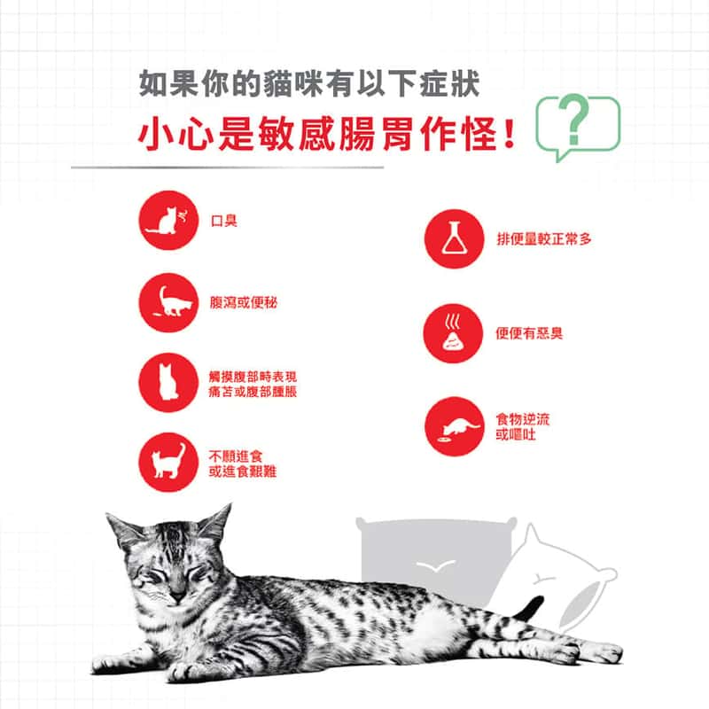 Royal Canin Royal Canin 法國皇家 貓濕糧 成貓消化道加護主食濕糧  85g 3104800 85g  背面圖
