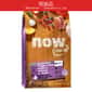 NOW FRESH! Grain Free Senior Cat Food Recipe Turkey, Salmon & Duck 8lb (2301908) pet shop