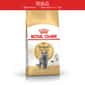 Royal Canin Royal Canin 貓糧 法國皇家貓糧 British Shorthair 純種系列 英國短毛成貓專屬配方 BSH 10kg (2557100010) (瑕疵品)