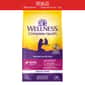 WELLNESS WELLNESS 貓糧 Complete Health 無穀物室內貓配方 三文魚及鯡魚 11lb 8oz (9207) (瑕疵品)