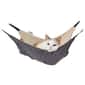   pet shop