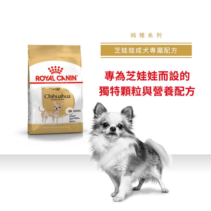 Royal Canin 狗糧 法國皇家狗糧 純種系列 芝娃娃成犬專屬配方 芝娃娃成犬糧 CHH28 3kg (2551100) (圖片2)